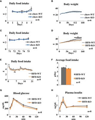 Inhibition of Plasminogen Activator Inhibitor-1 Activation Suppresses High Fat Diet-Induced Weight Gain via Alleviation of Hypothalamic Leptin Resistance